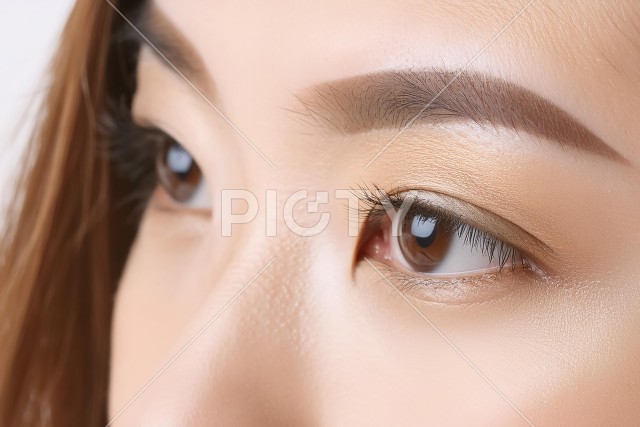 写真のタイトルが入ります