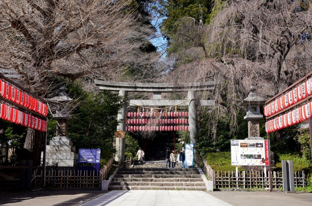 写真のタイトルが入ります