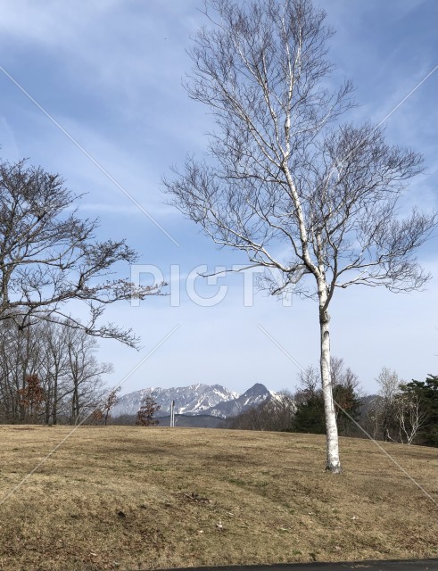 写真のタイトルが入ります