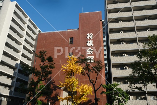 写真のタイトルが入ります