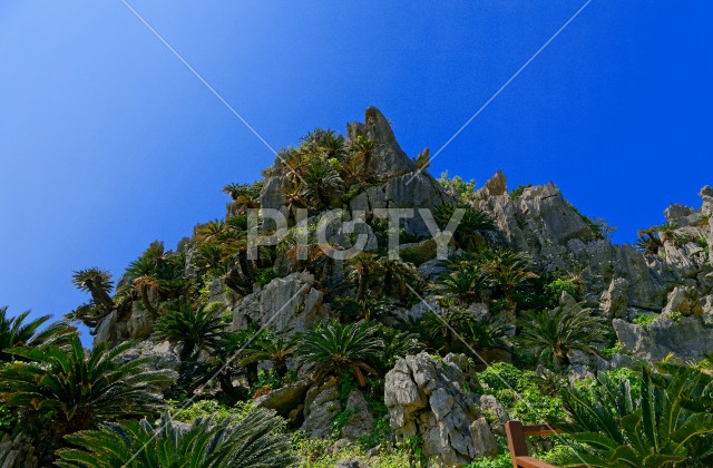 大石林山