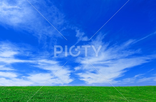原っぱと青空