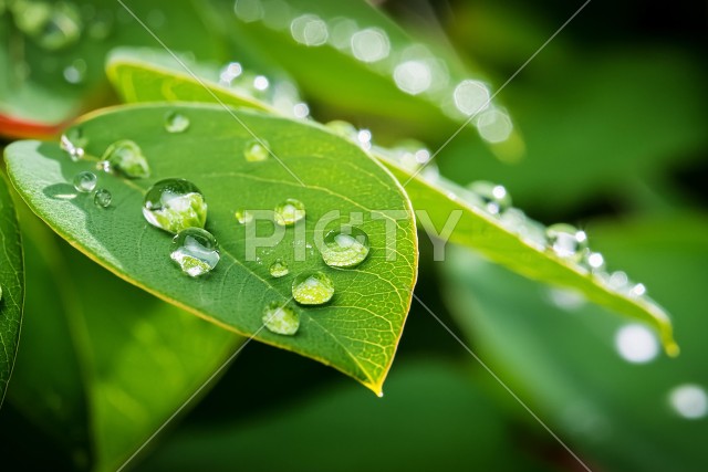 写真のタイトルが入ります