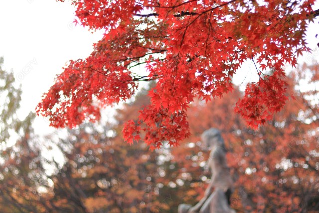 写真のタイトルが入ります