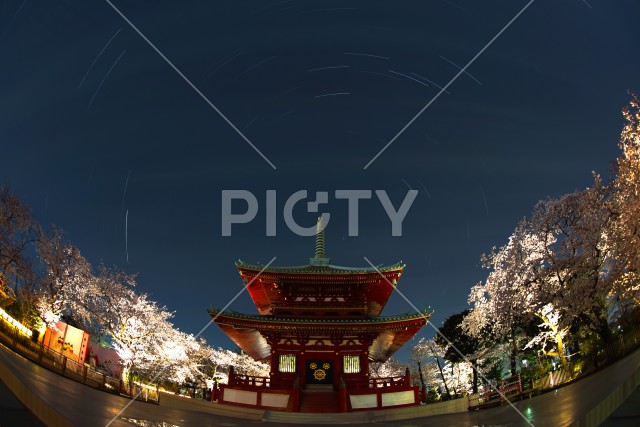 写真のタイトルが入ります