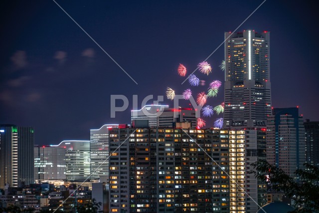 写真のタイトルが入ります