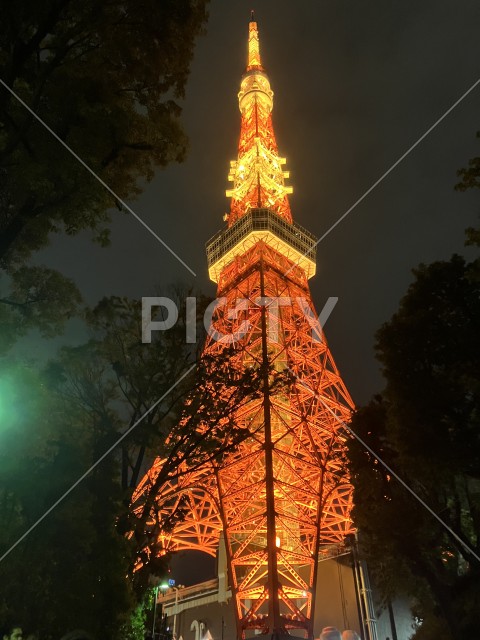 夜景タワー