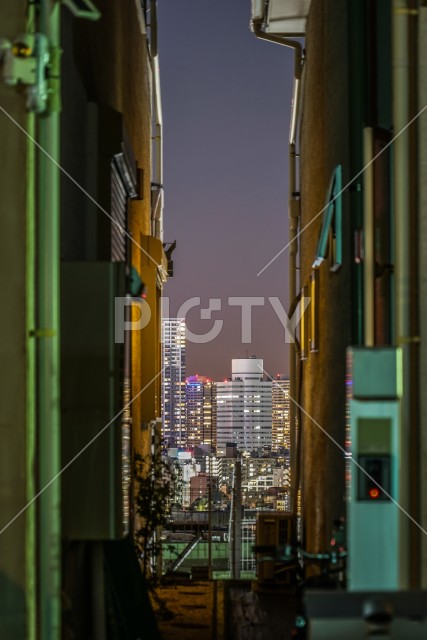 写真のタイトルが入ります