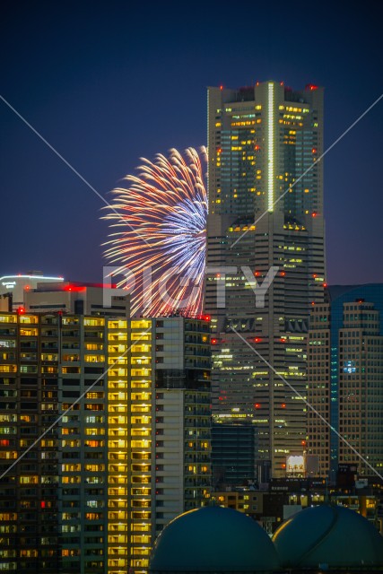 写真のタイトルが入ります