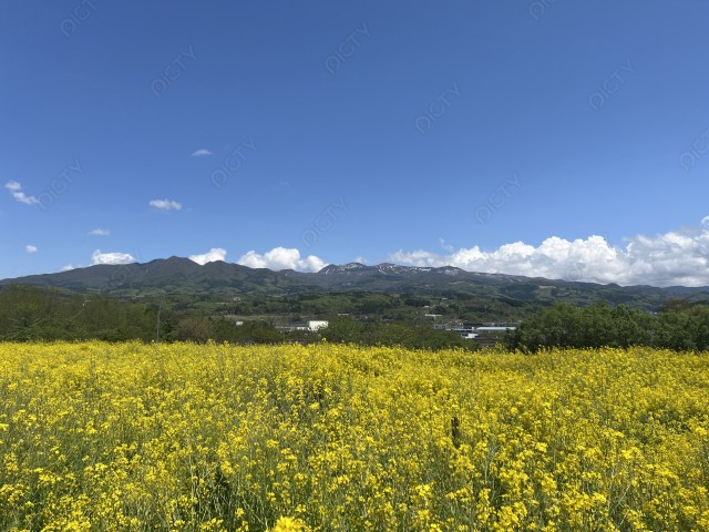 写真のタイトルが入ります