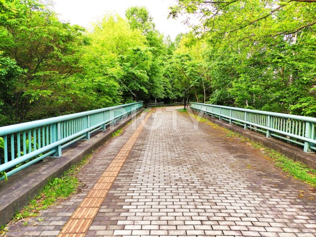散歩道