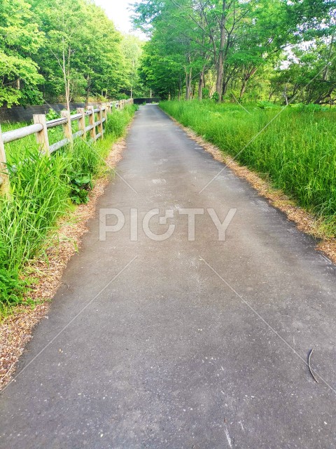 散歩道