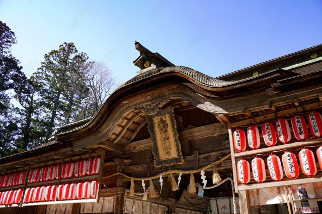 写真のタイトルが入ります