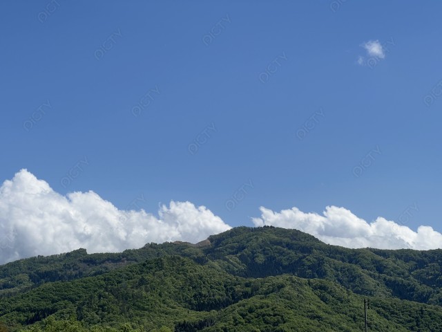 写真のタイトルが入ります