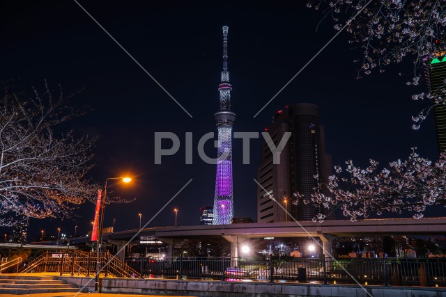 写真のタイトルが入ります