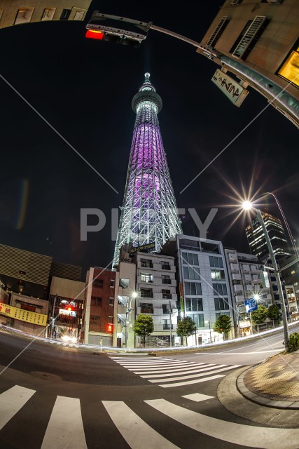 写真のタイトルが入ります
