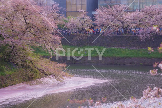 写真のタイトルが入ります