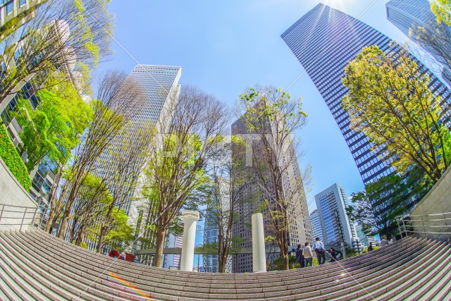 写真のタイトルが入ります
