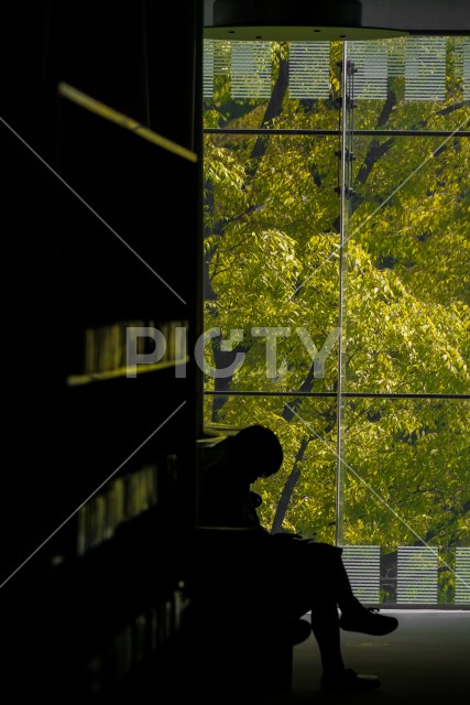 写真のタイトルが入ります