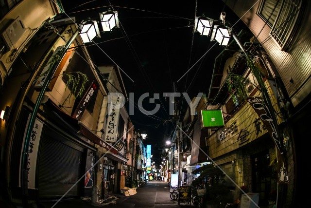 写真のタイトルが入ります