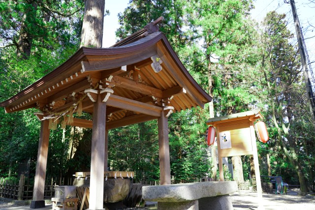 写真のタイトルが入ります