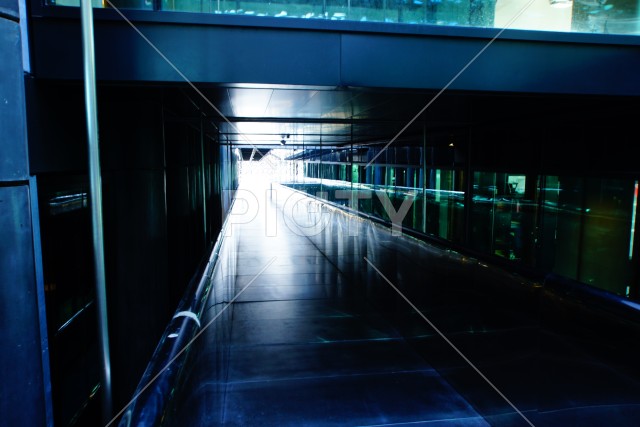 写真のタイトルが入ります