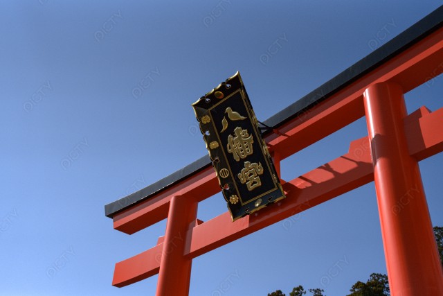 写真のタイトルが入ります