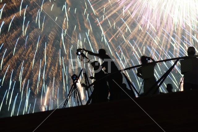 写真のタイトルが入ります