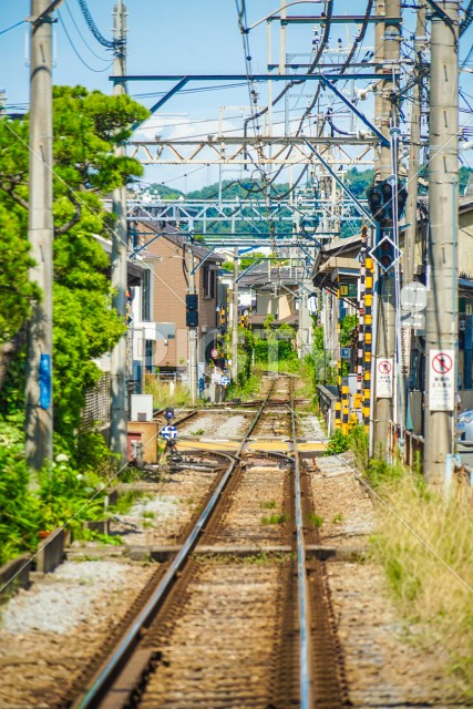 写真のタイトルが入ります