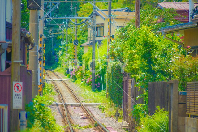 写真のタイトルが入ります