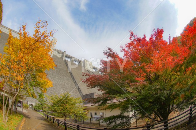四万川ダムと秋の紅葉