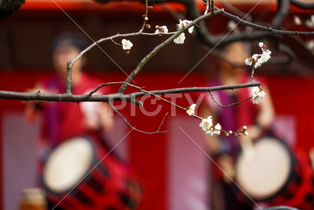 写真のタイトルが入ります