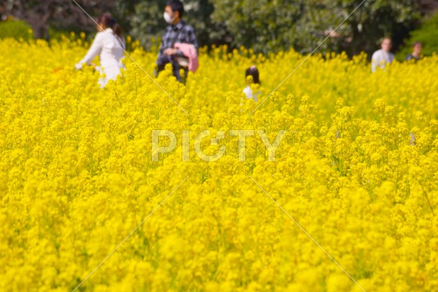 写真のタイトルが入ります