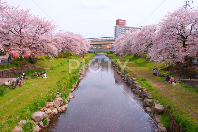 写真のタイトルが入ります
