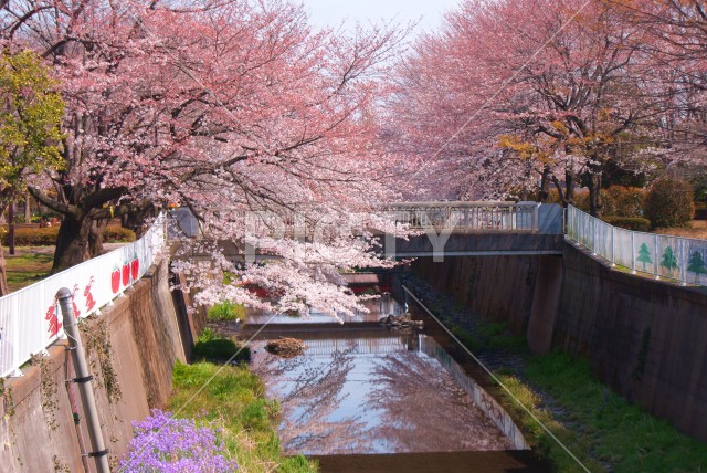 写真のタイトルが入ります