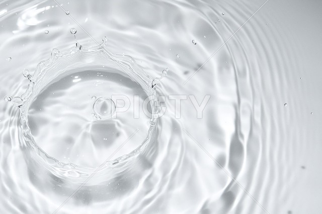写真のタイトルが入ります