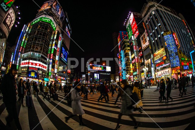 新宿の横断歩道