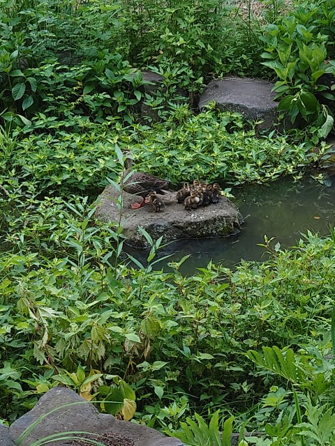 写真のタイトルが入ります