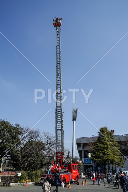 写真のタイトルが入ります