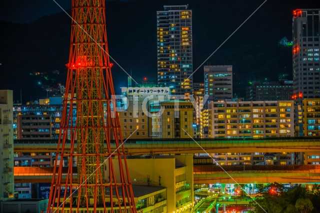 写真のタイトルが入ります