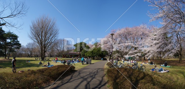 写真のタイトルが入ります