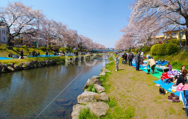 写真のタイトルが入ります