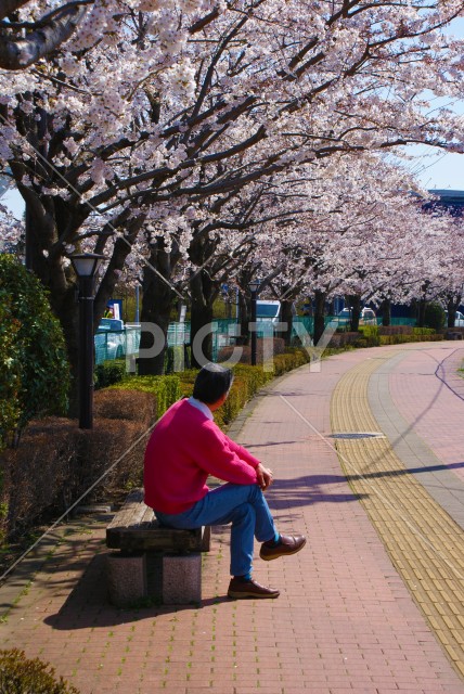 写真のタイトルが入ります