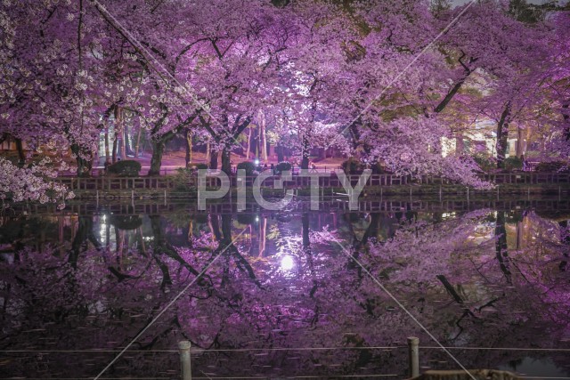 写真のタイトルが入ります