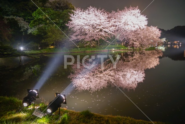 写真のタイトルが入ります