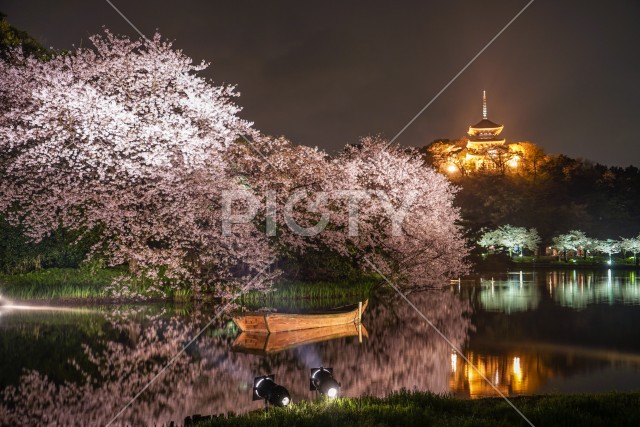 写真のタイトルが入ります