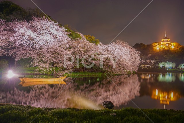 写真のタイトルが入ります