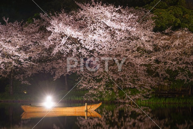 写真のタイトルが入ります
