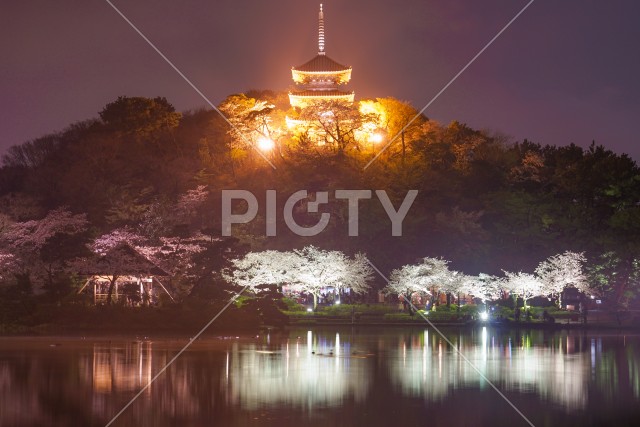 写真のタイトルが入ります