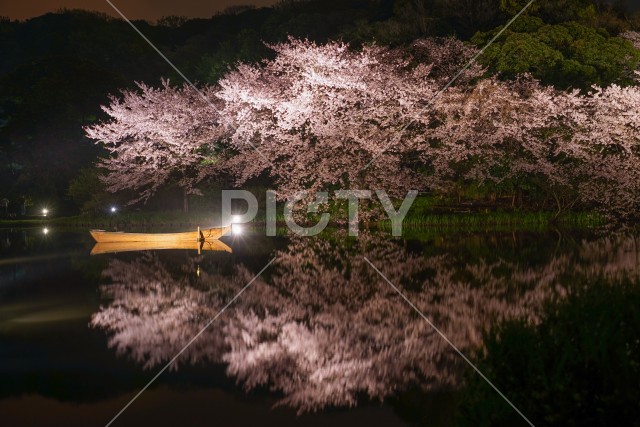 写真のタイトルが入ります